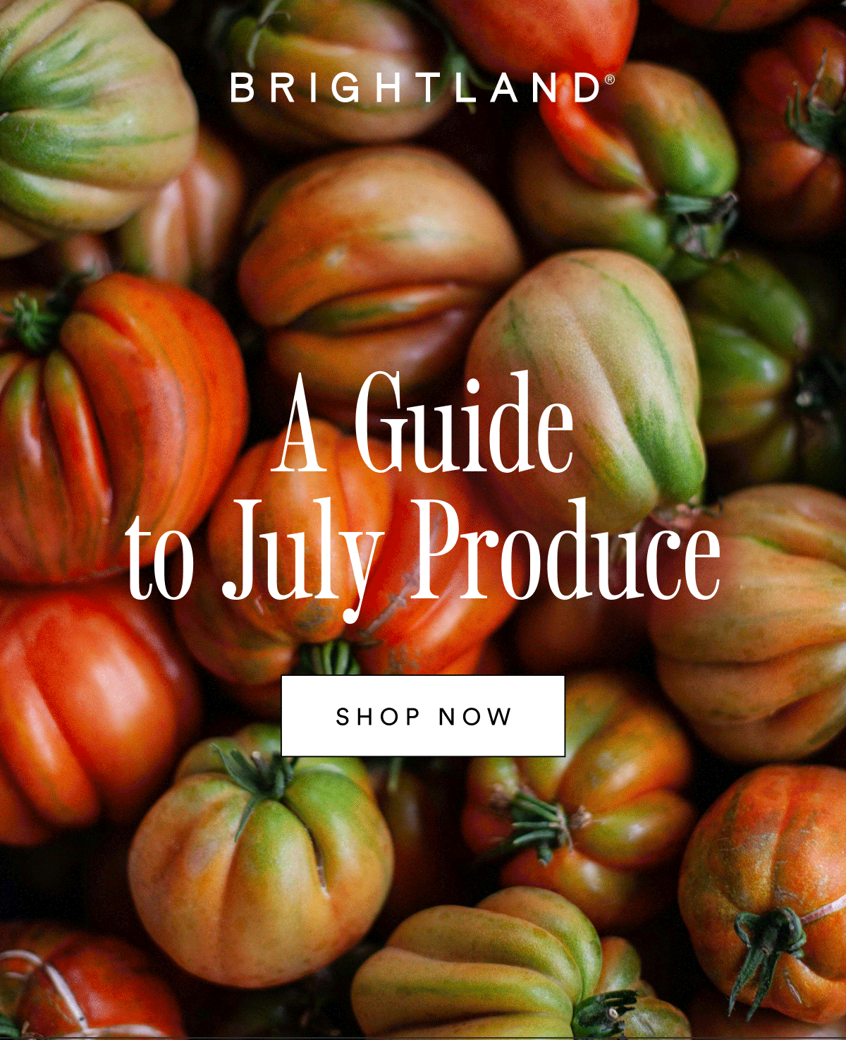 Your Summer Hosting Secret