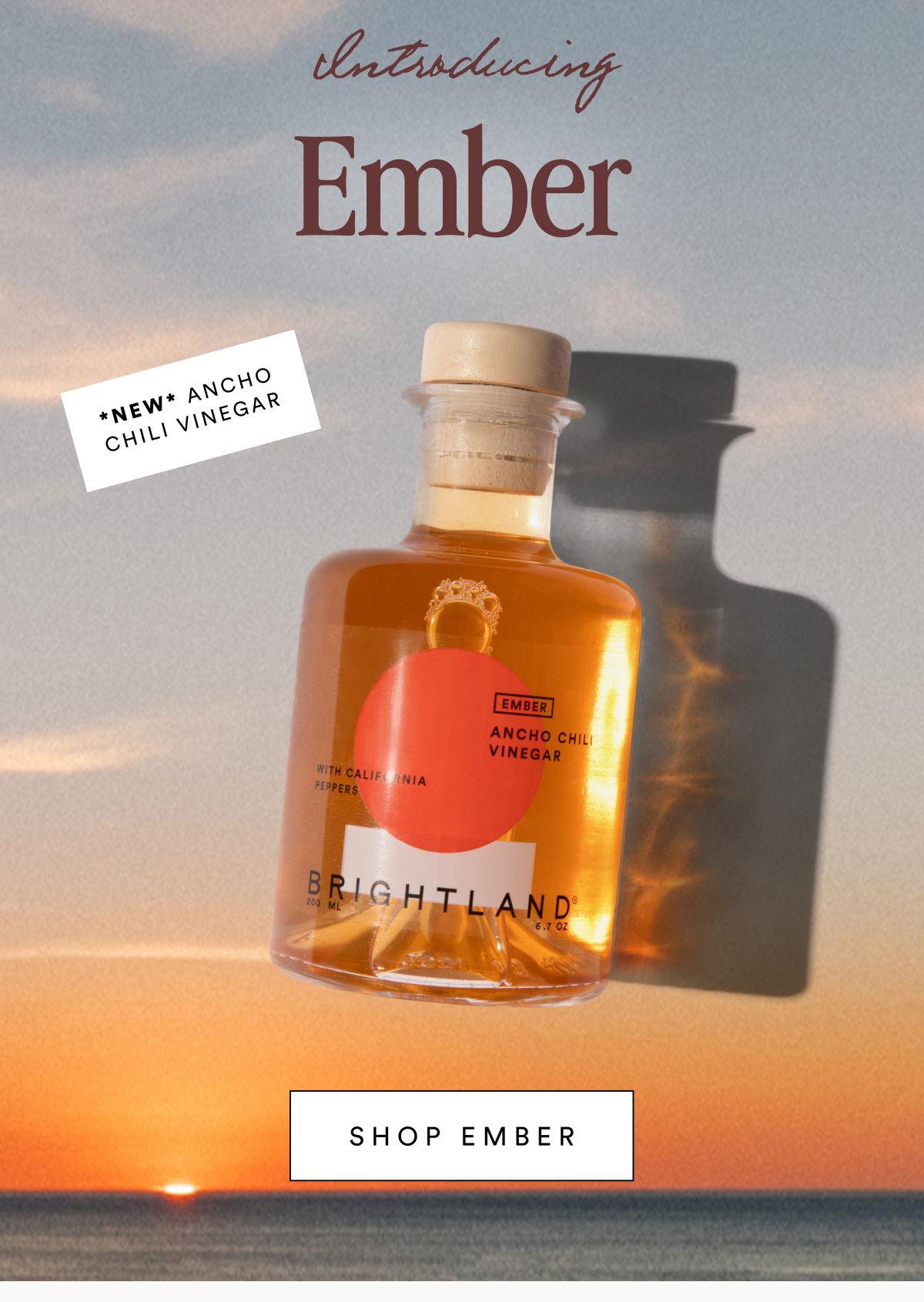 Introducing Ember