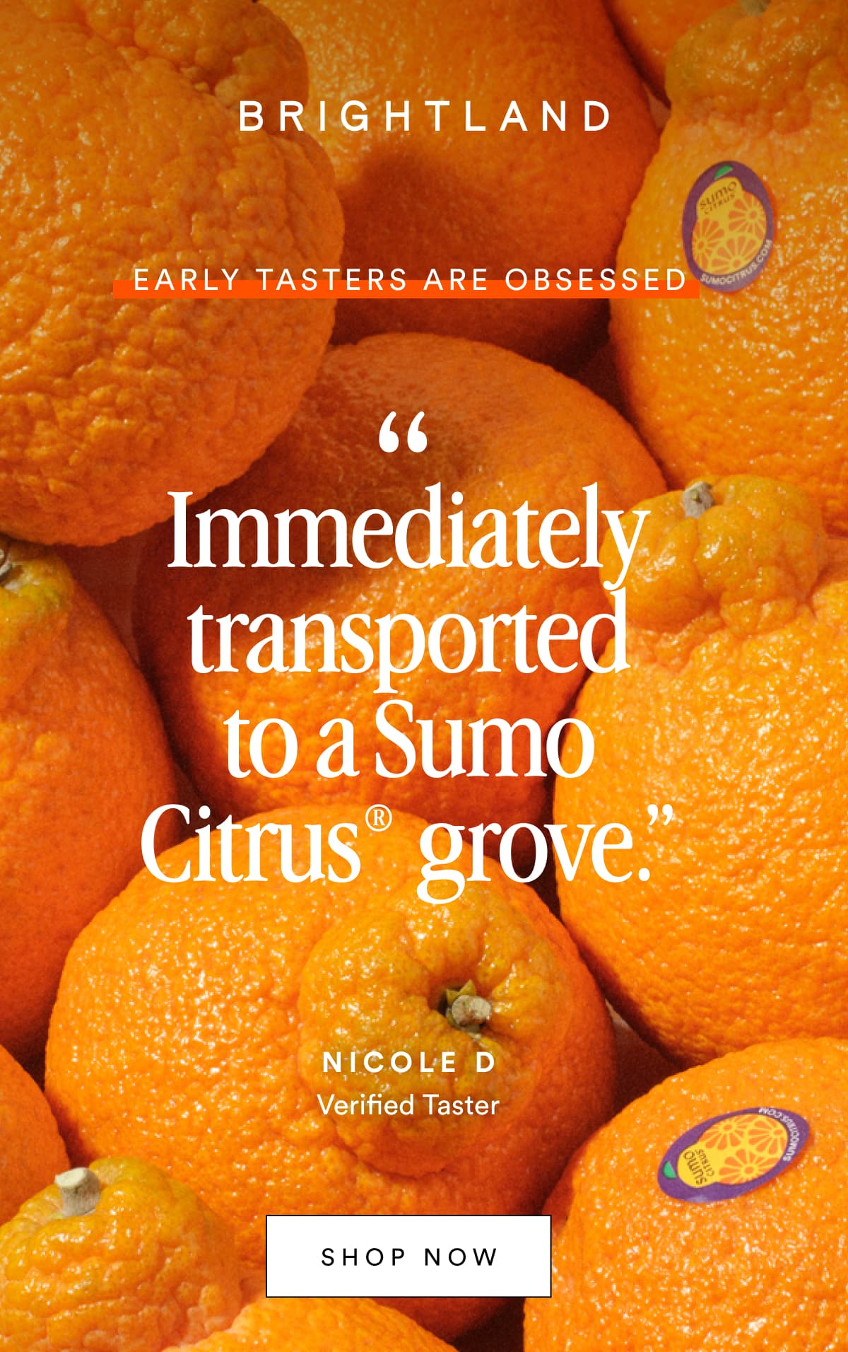 Early tasters are obsessed Immediately transported to a Sumo Citrus® grove.” “ NICOLE D Verified Taster SHOP NOW