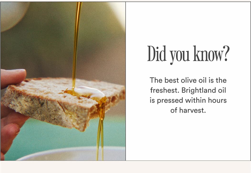 Did you know - The best olive oil is the freshest. Brightland oil is pressed within hours of harvest.