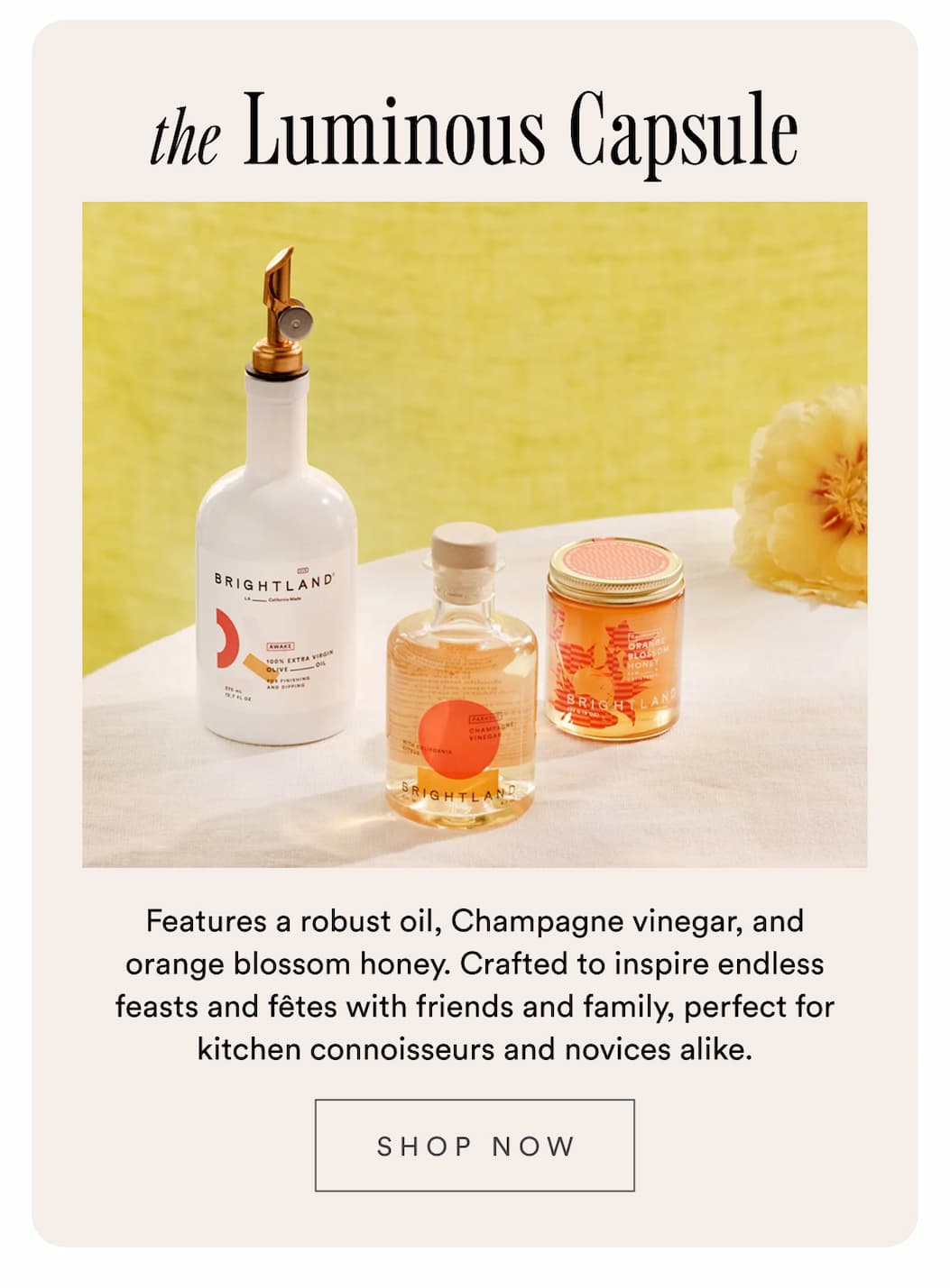 The Luminous Capsule. Features a robust oil, Champagne vinegar, and orange blossom honey. Crafted to inspire endless feasts and fêtes with friends and family, perfect for kitchen connoisseurs and novices alike. Shop now. The Luminous Capsule. Features a robust oil, Champagne vinegar, and orange blossom honey. Crafted to inspire endless feasts and fêtes with friends and family, perfect for kitchen connoisseurs and novices alike. Shop now.