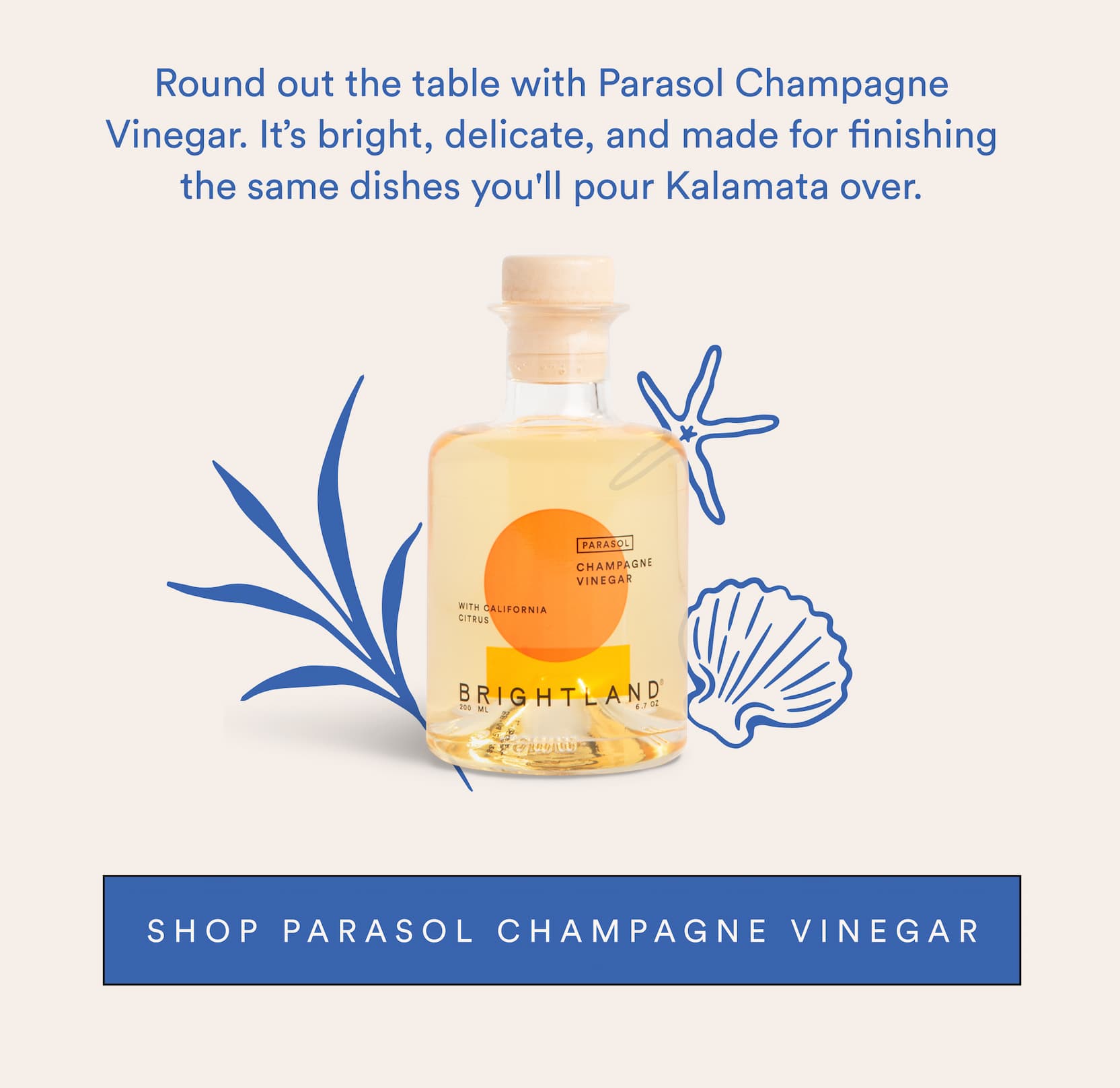 Shop Parasol Champagne Vinegar