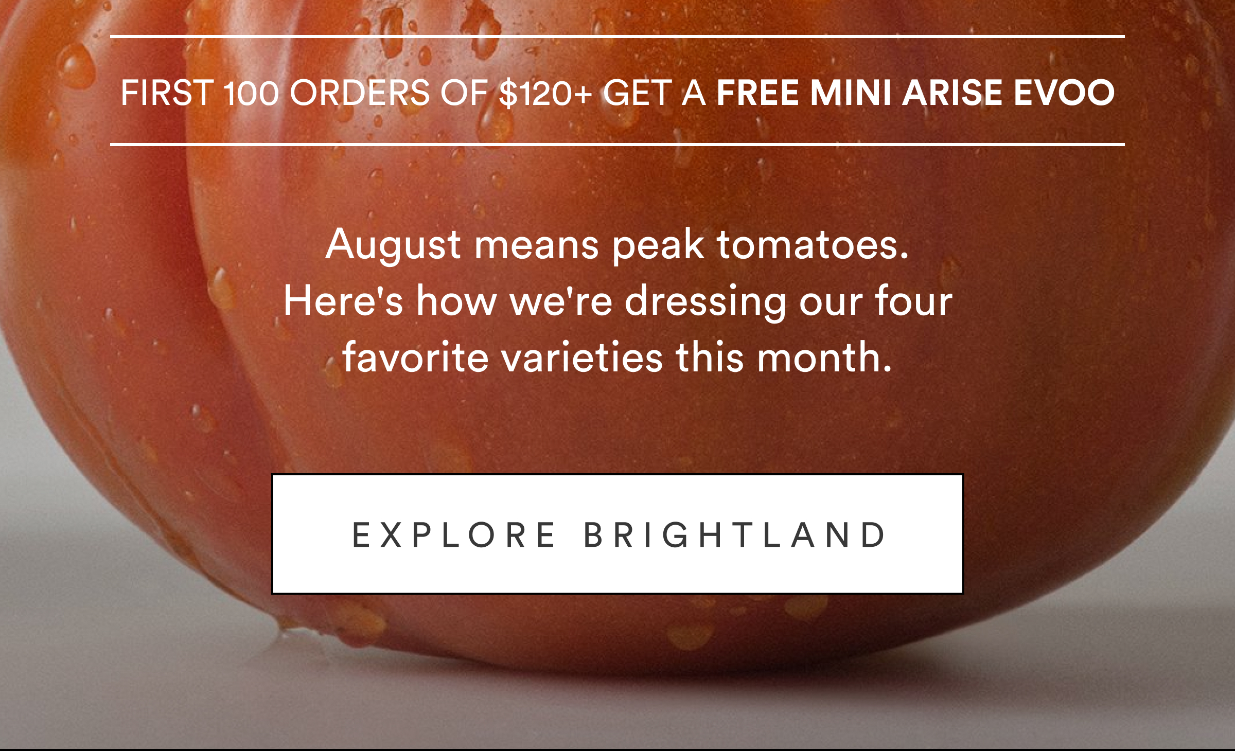 Explore Brightland