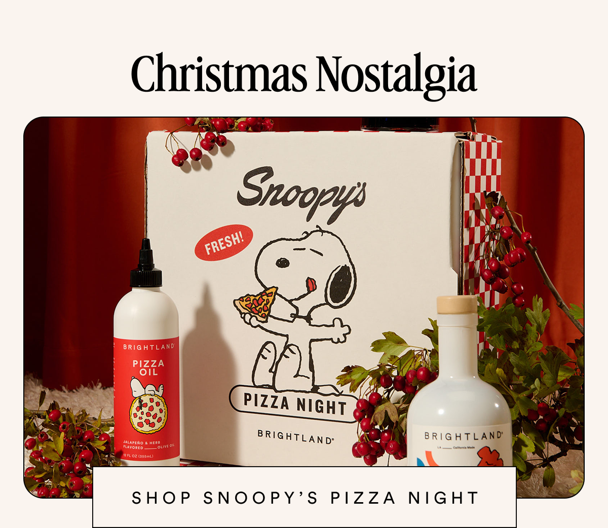 Christmas Nostalgia shop snoopy’s pizza night
