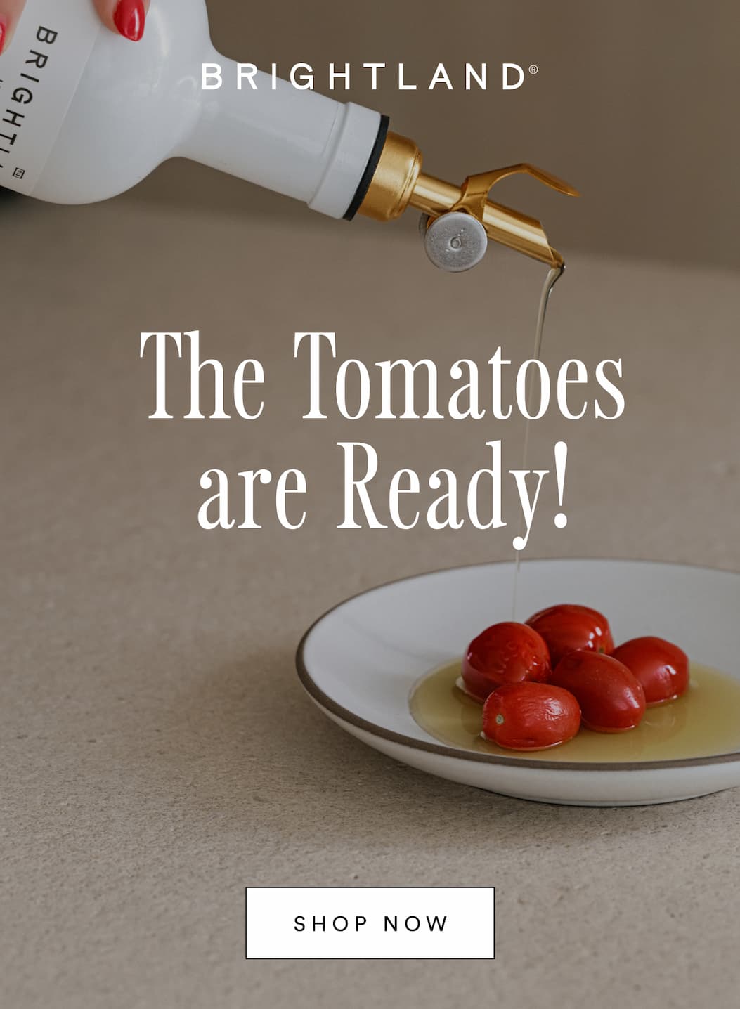 The Tomatoes are Ready! Shop now. The Tomatoes are Ready! Shop now.