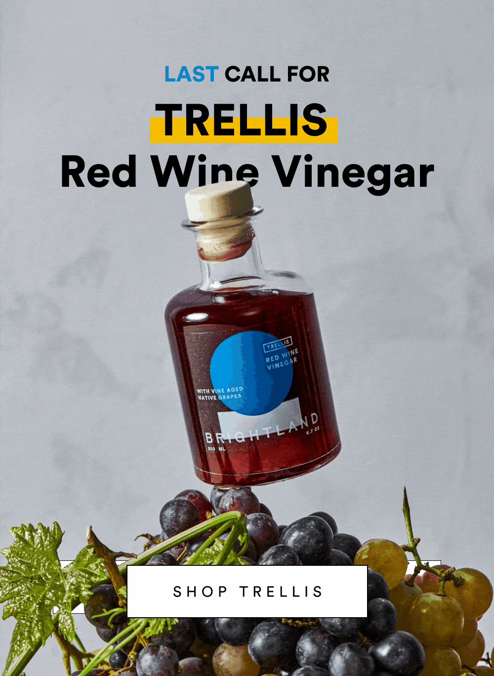 Last Call for TRELLIS Red Wine Vinegar