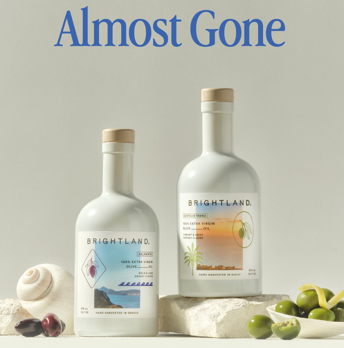 Almost Gone