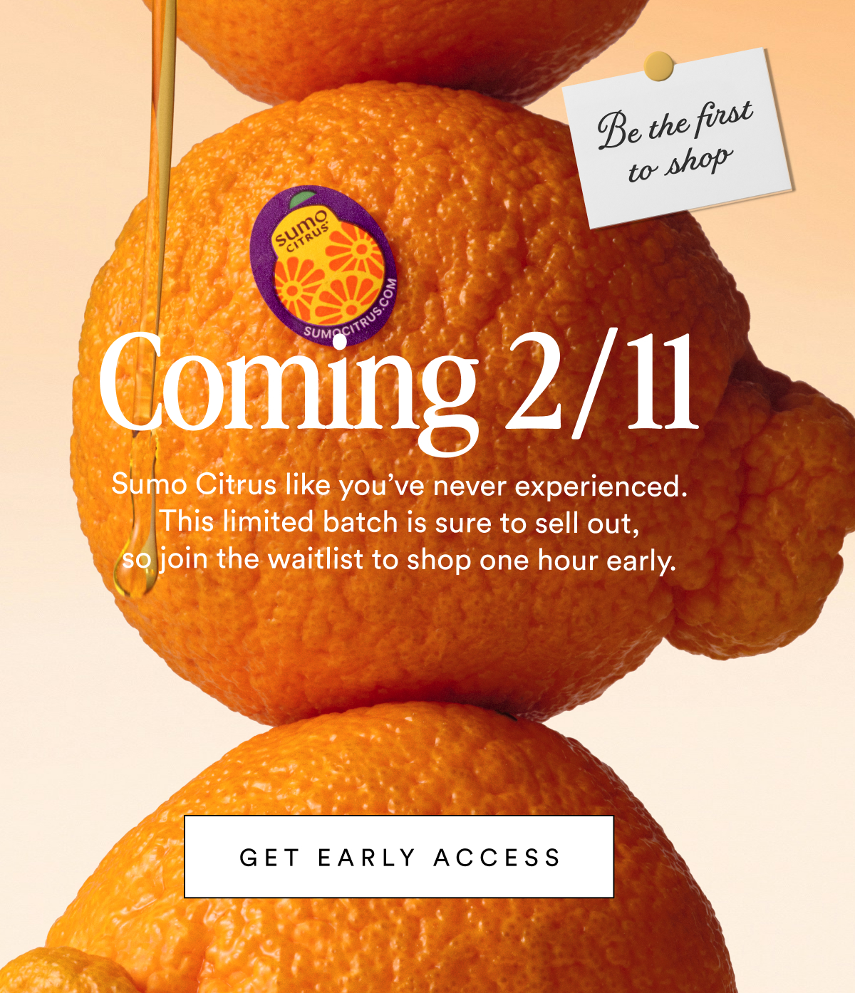 Be the first to shop Coming 2/11 Sumo Citrus like you’ve never experienced. This limited batch is sure to sell out, so join the waitlist to shop one hour early. GET EARLY ACCESS