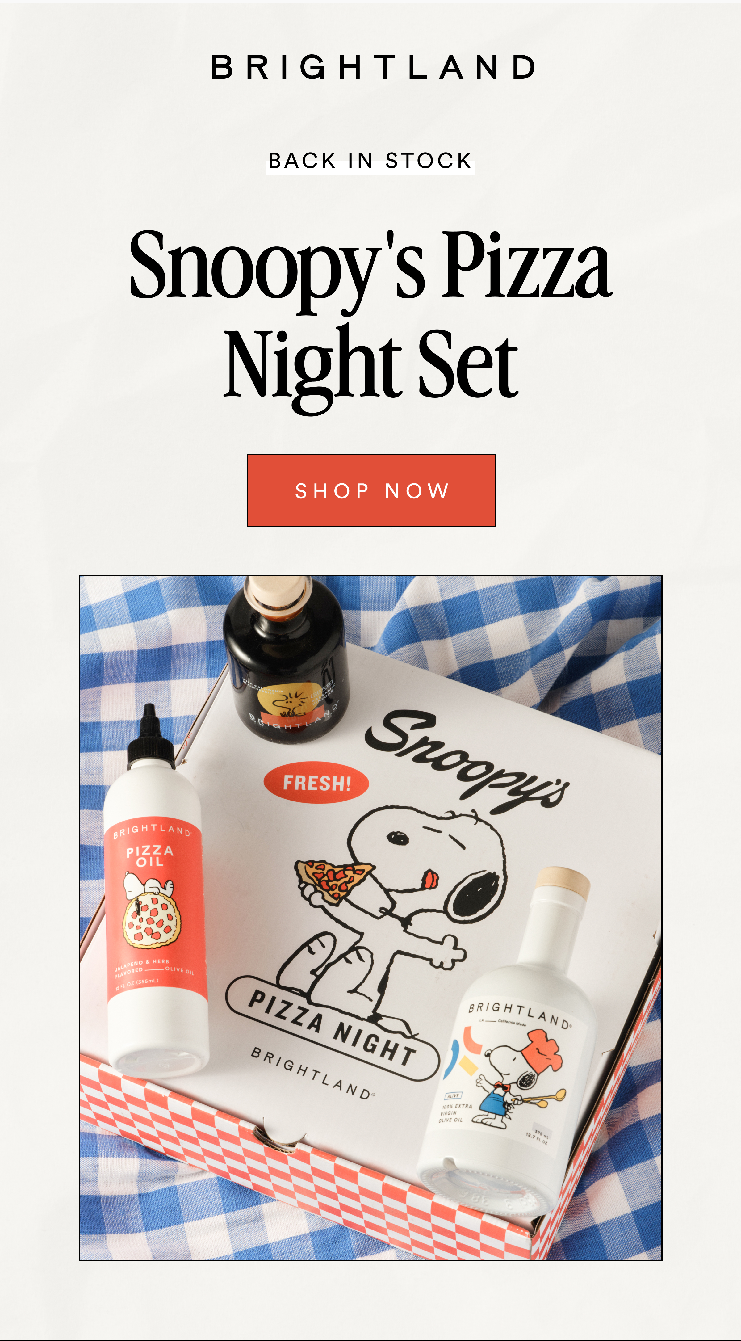 Snoopy's Pizza Night Set