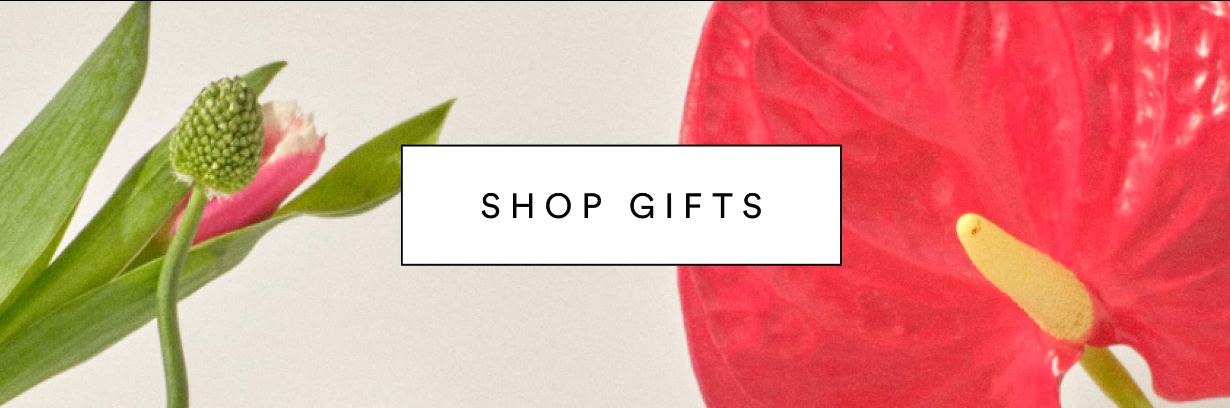 SHOP GIFTS