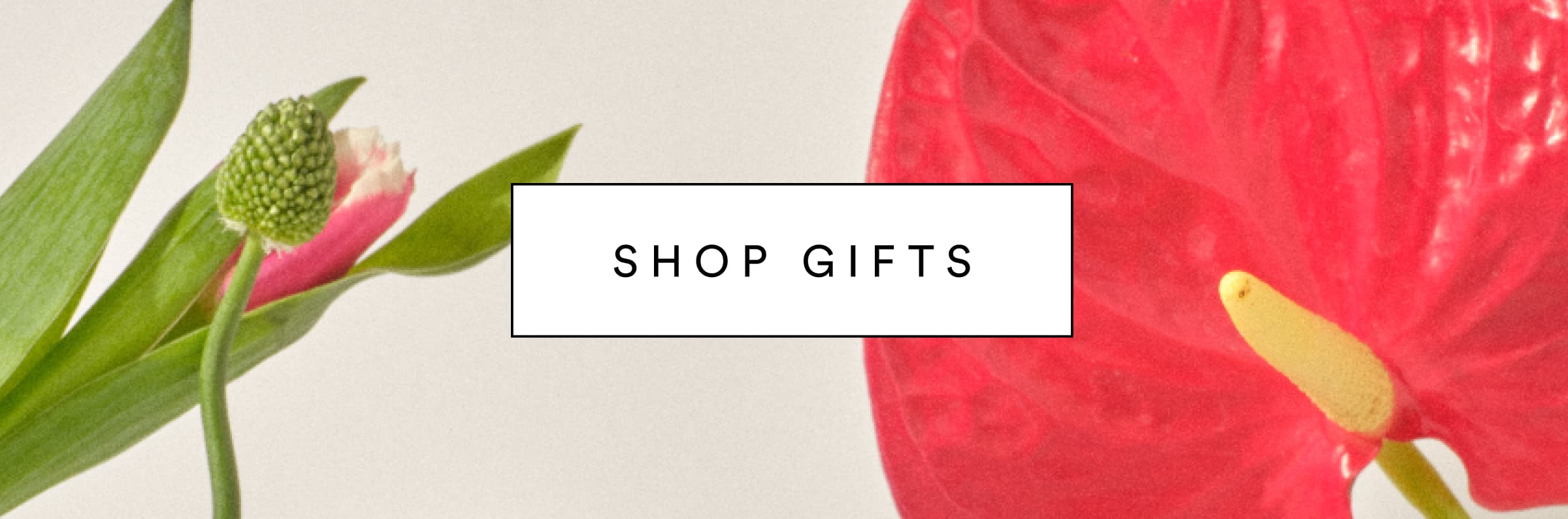 SHOP GIFTS