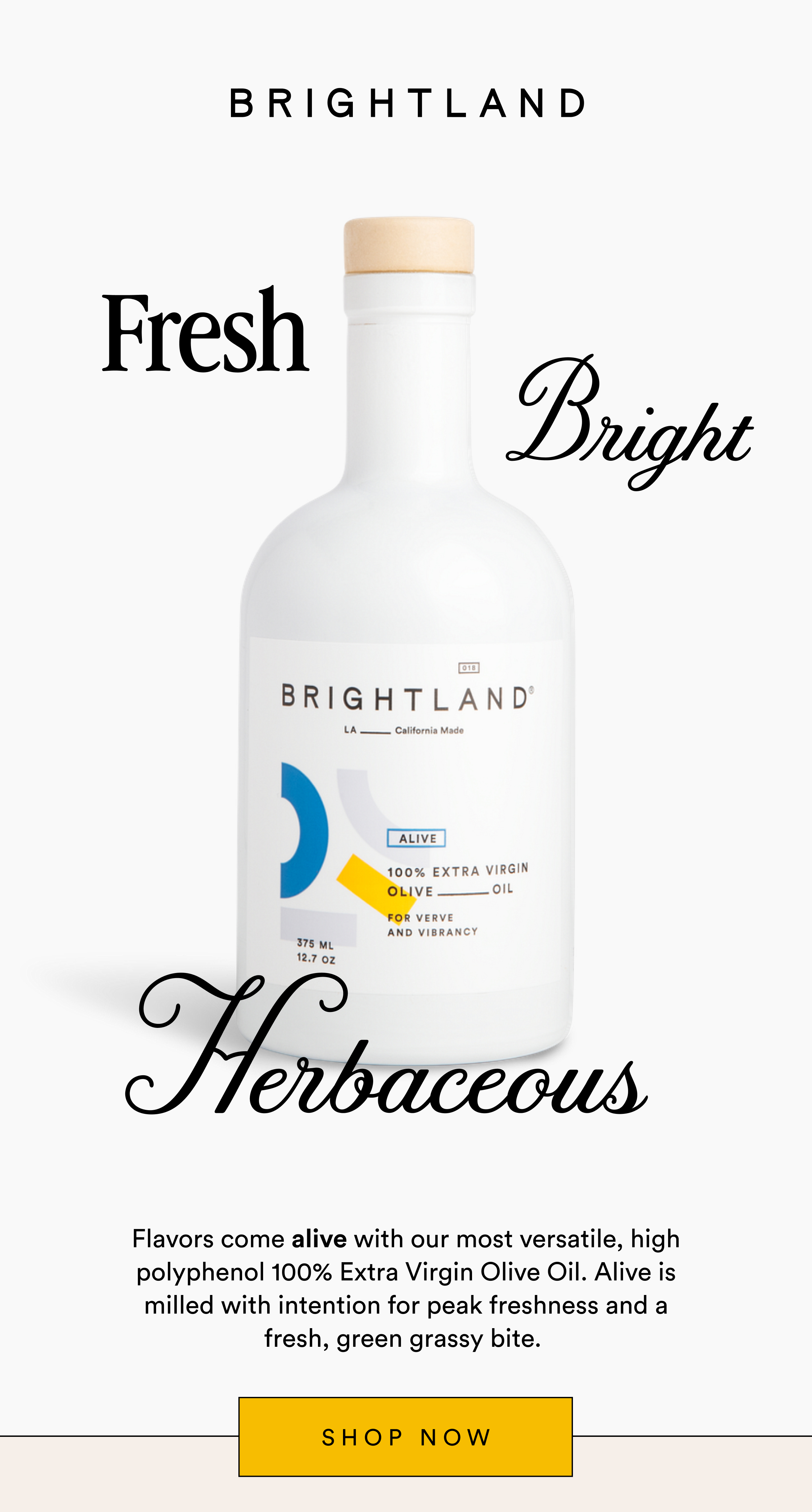 Flavors come Alive - Shop Now.