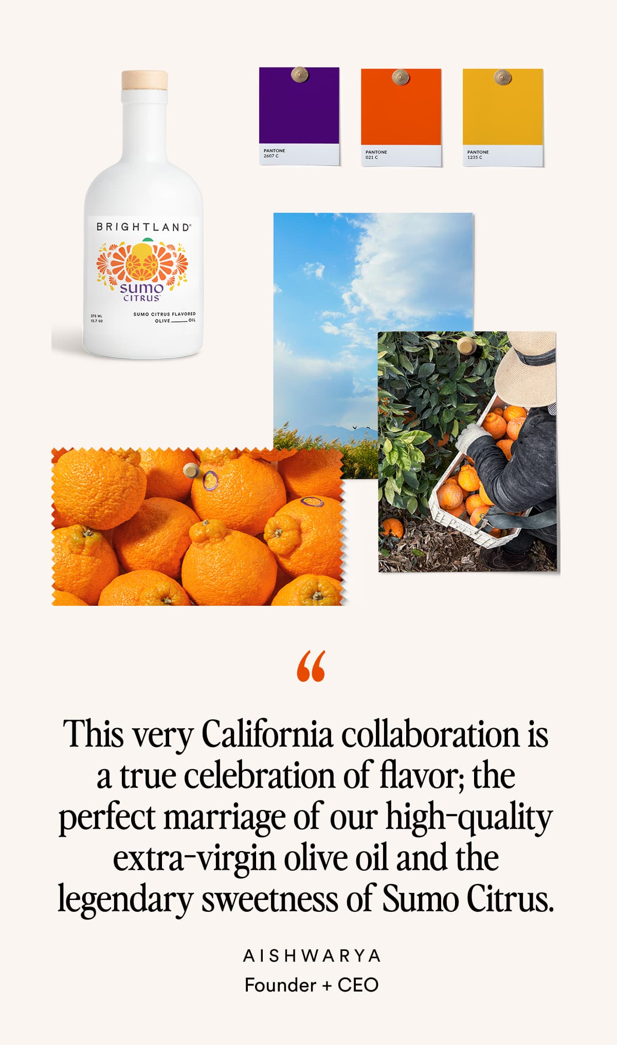 “This very California collaboration is a true celebration of flavor; the perfect marriage of our high-quality extra-virgin olive oil and the legendary sweetness of Sumo Citrus. AISHWARYA Founder + CEO SHOP BEFORE IT SELLS OUT