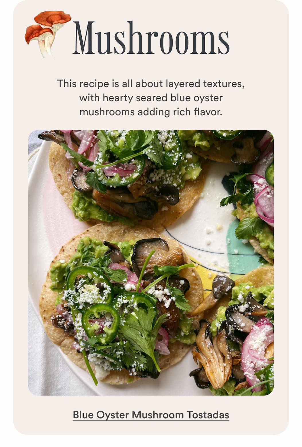 Mushrooms. This recipe is all about layered textures, with hearty seared blue oyster mushrooms adding rich flavor. Make Blue Oyster Mushroom Tostadas. Mushrooms. This recipe is all about layered textures, with hearty seared blue oyster mushrooms adding rich flavor. Make Blue Oyster Mushroom Tostadas.