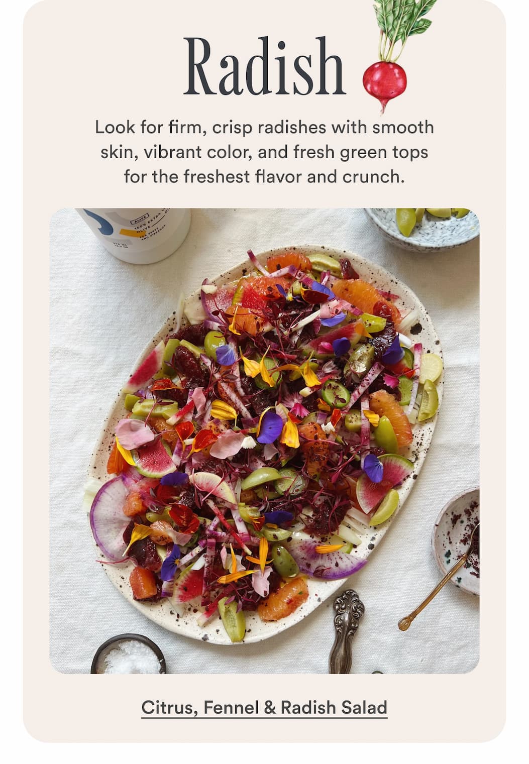Radish: Look for firm, crisp radishes with smooth skin, vibrant color, and fresh green tops  for the freshest flavor and crunch. Make Citrus, Fennel & Radish Salad.