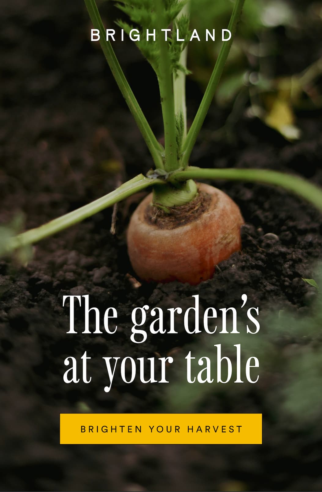 The garden's at your table. Brighten your harvest. The garden's at your table. Brighten your harvest.