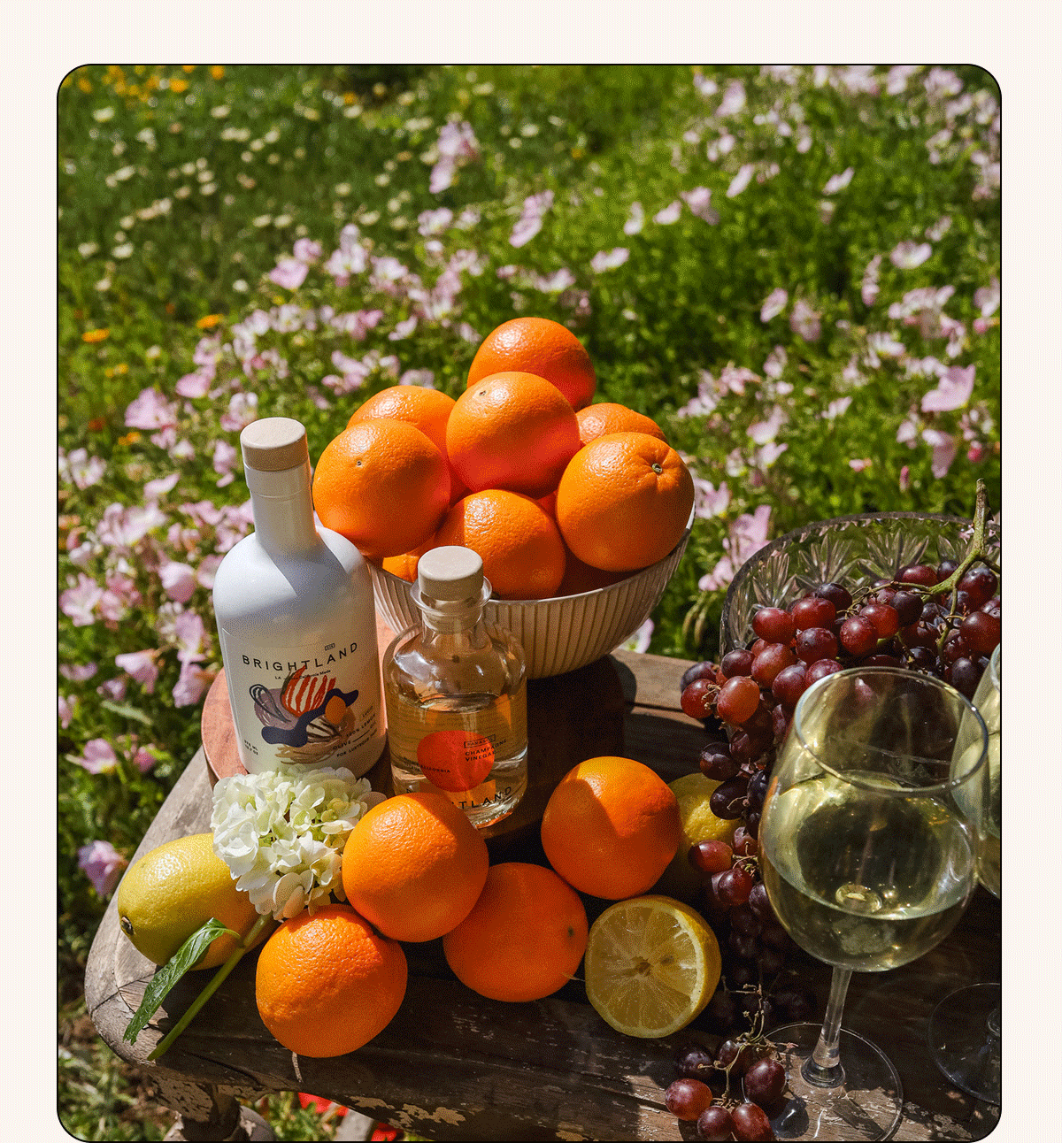 Pictures of brightland products being used to dine outside and cook recipes with fresh produce