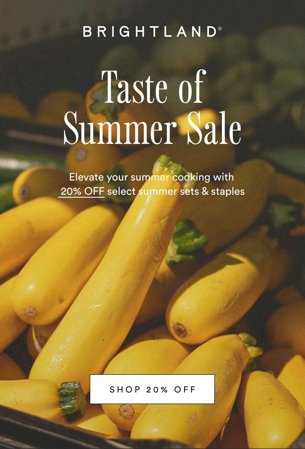 The Taste of Summer Sale.Elevate your summer cooking with 20% OFF select summer sets & staples