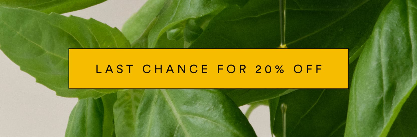 Last Chance for 20% OFF