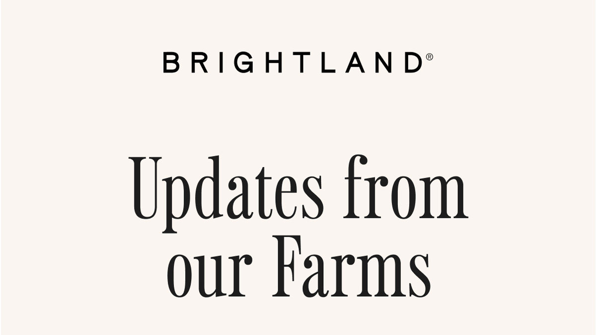 Updates from our Farms