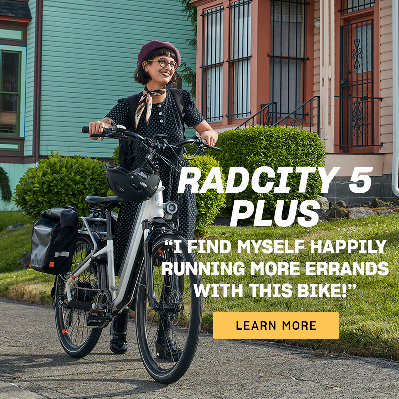 RadRover 6 Plus In Stock