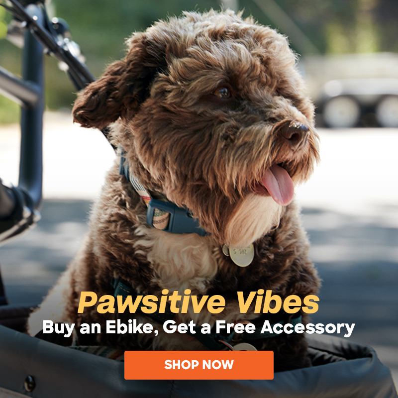 Pawsitive Vibes
