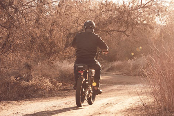 Reclaiming Mobility with an Electric Bike
