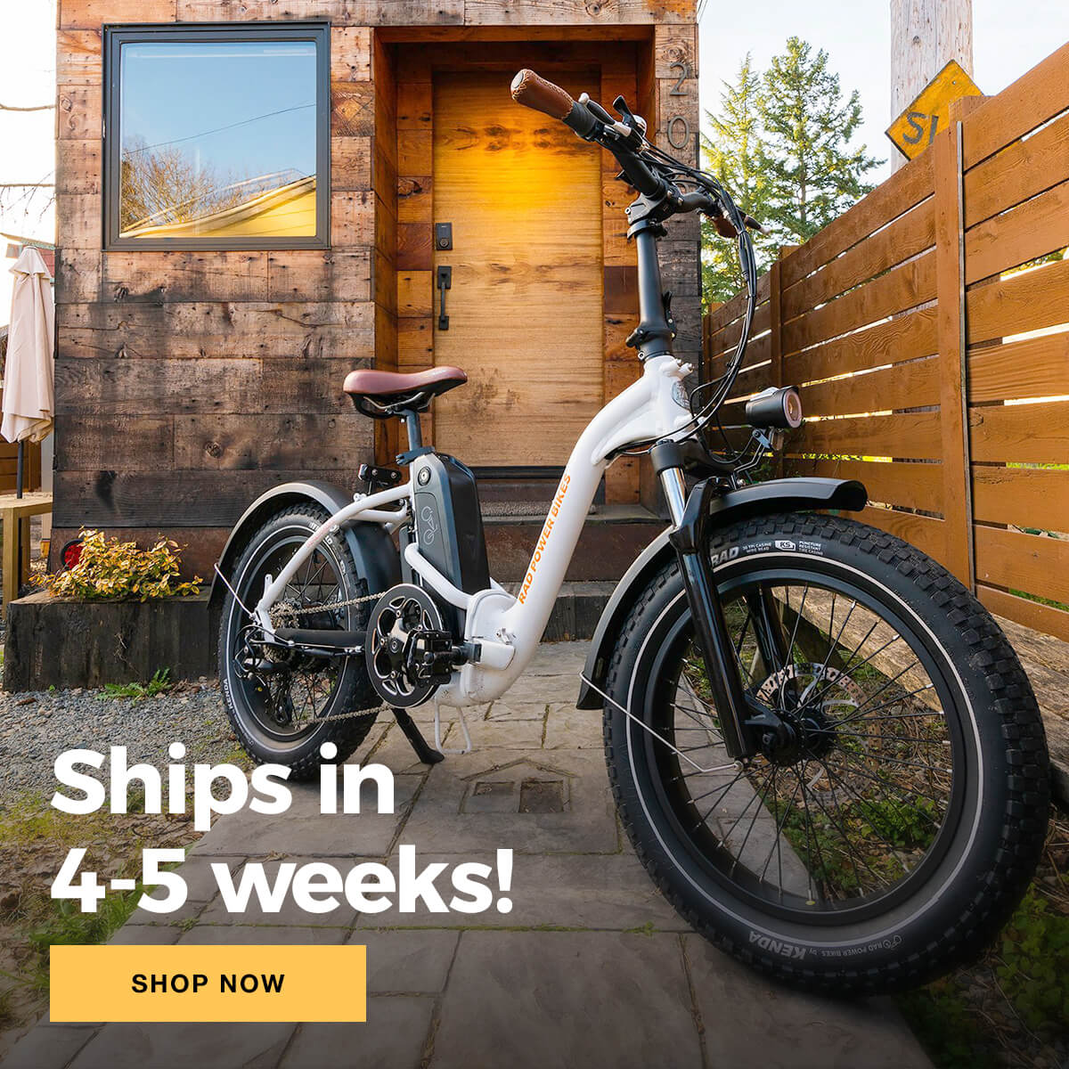 RadMini Step-Thru: Order now for shipping by July 31