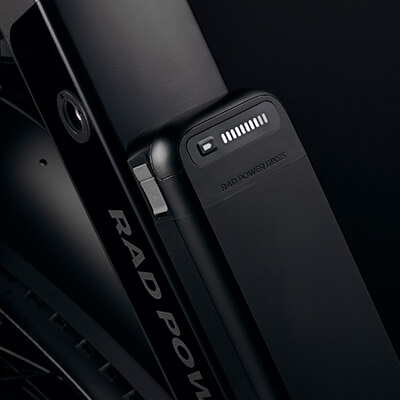 RadRover 6 Plus Battery