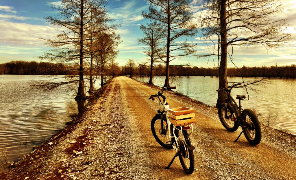 Explore our ebikes