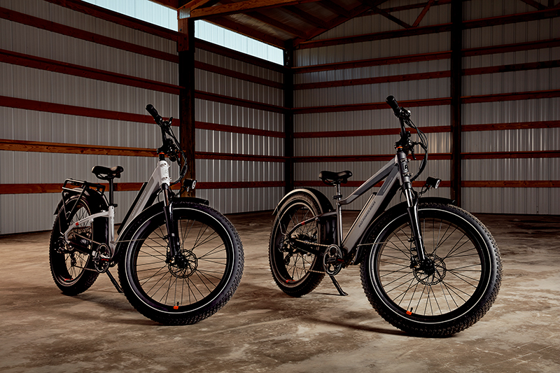 RadRover 6 Plus and RadRover 6 Plus Step-Thru