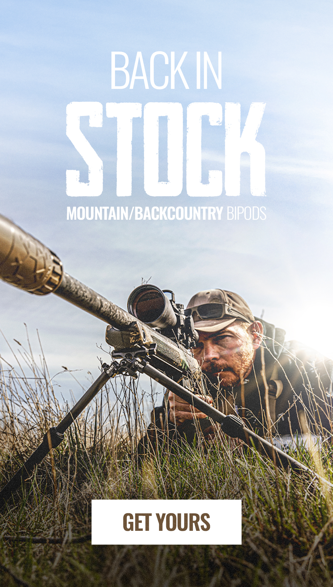 Back in Stock