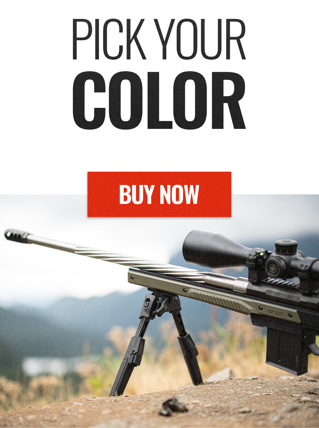 Buy Now