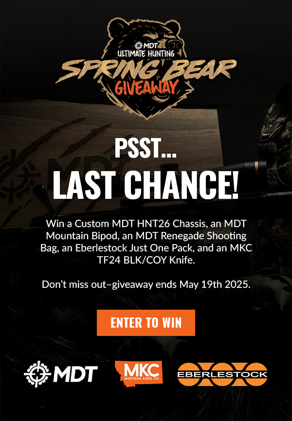 Spring Bear Giveaway - Last Chance!