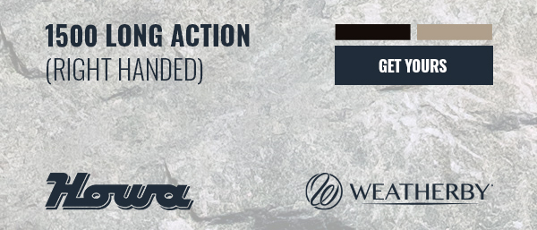 Howa 1500 Long Action