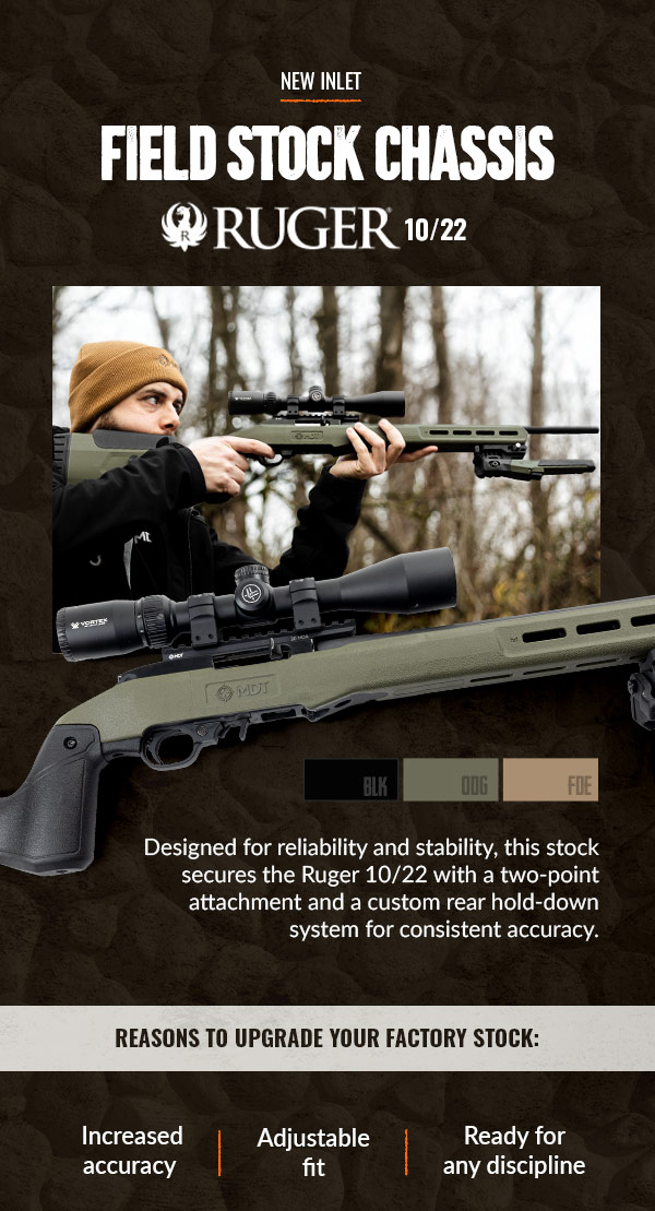 Field Stock Ruger 10/22