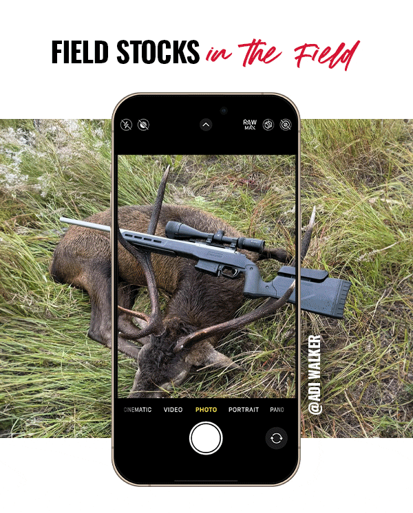Field Stocks