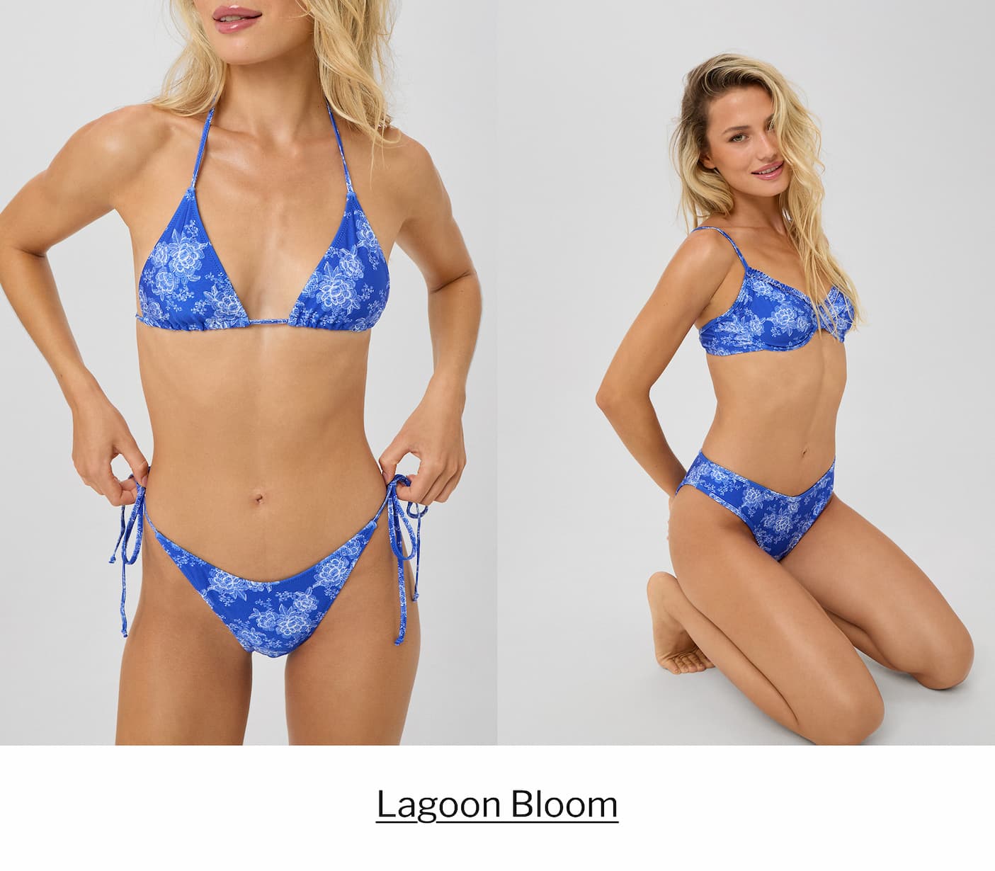 lagoon bloom