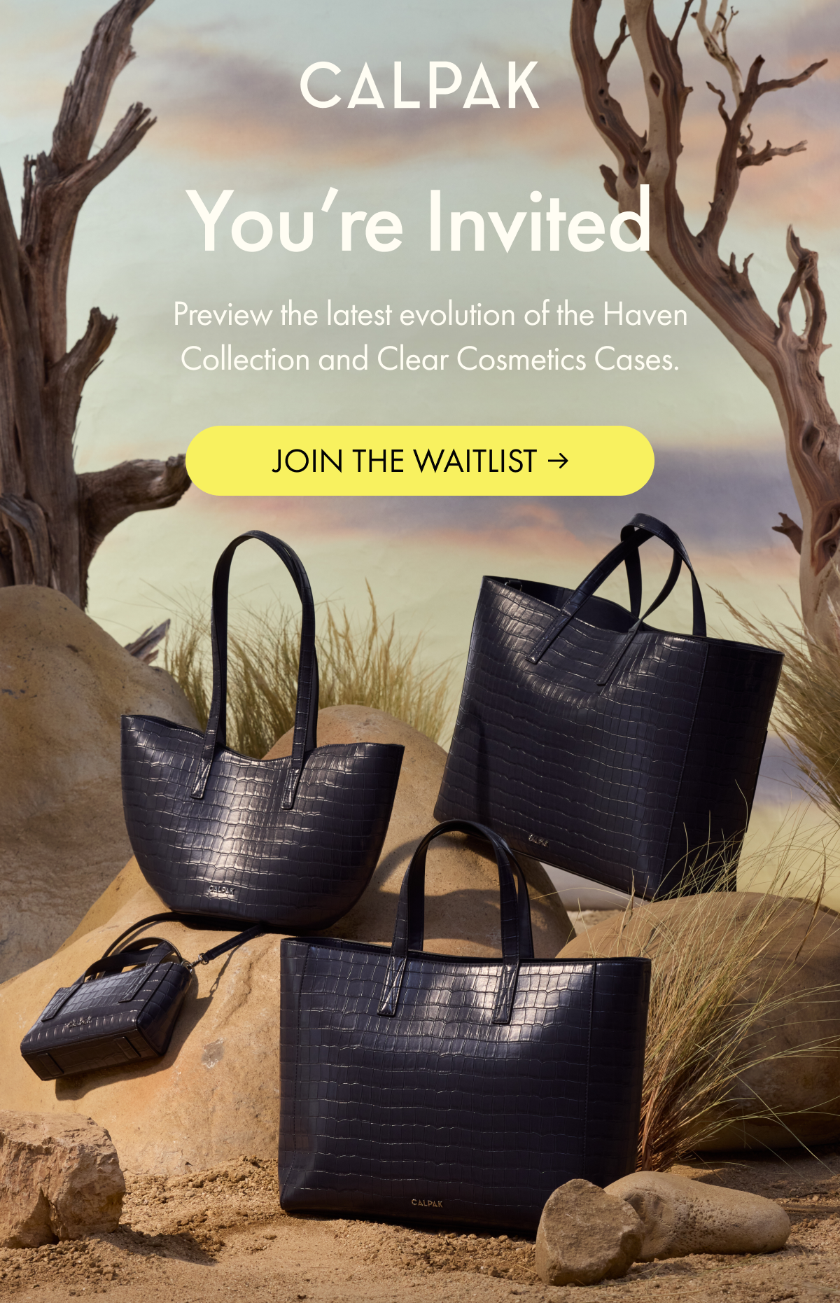 CALPAK | You're Invited | Preview the newest Haven and Clear Cosmetics Cases. | JOIN WAITLIST