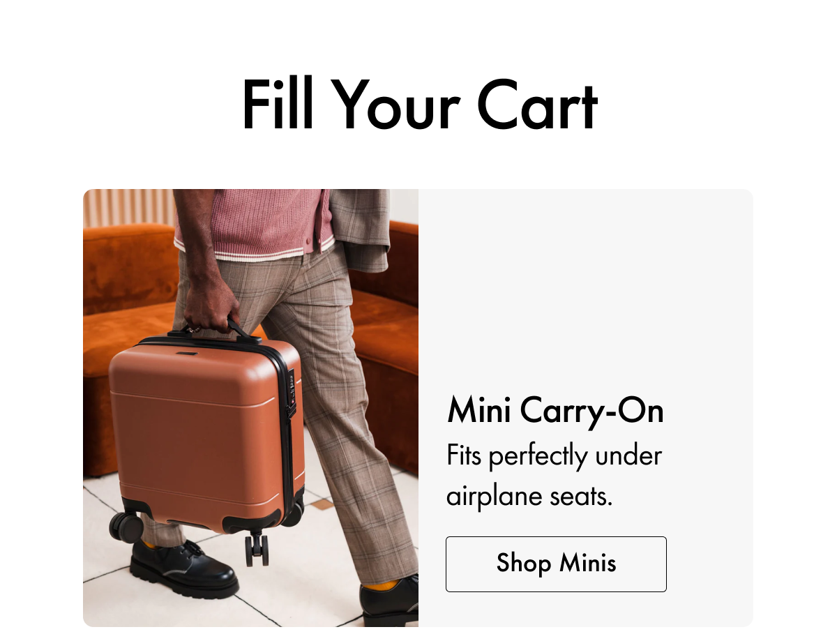 Mini Carry-On