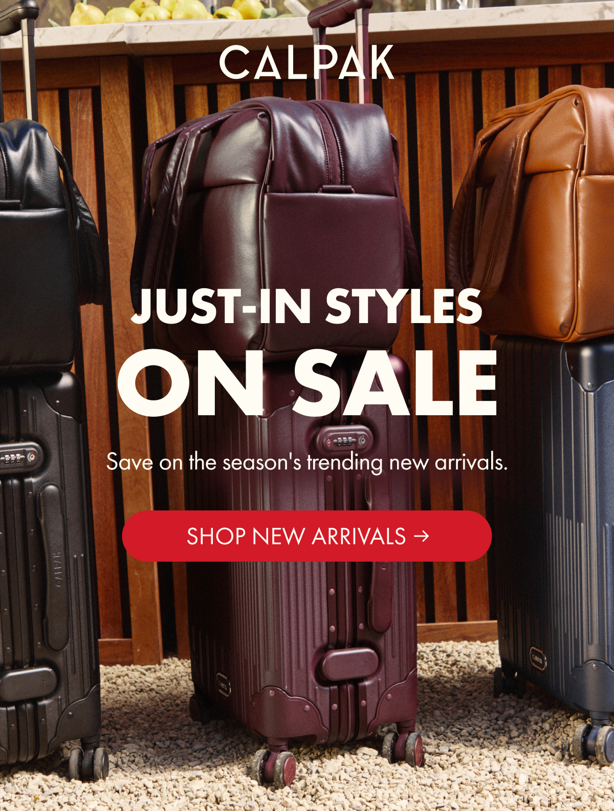 CALPAK | JUST-IN STYLES ON SALE | Save on the season's trending new arrivals. | SHOP NEW ARRIVALS