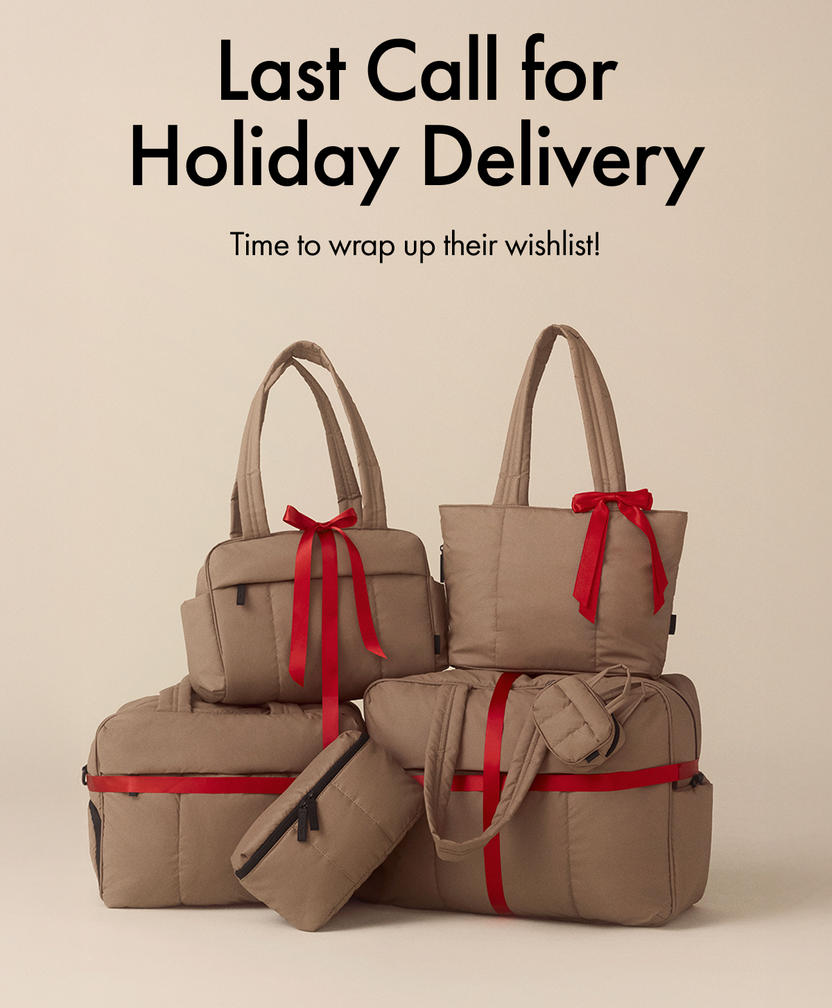 Last Call for Holiday Delivery | Time to wrap up their wishlist!