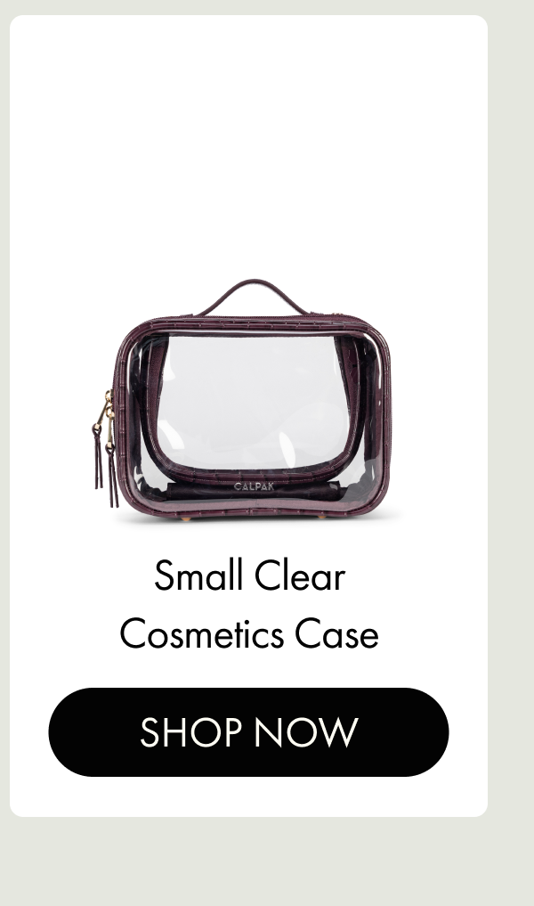 Small Clear Cosmetics Case | SHOP NOW