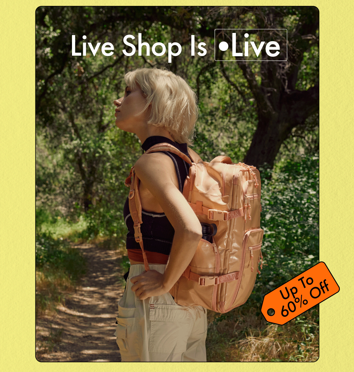 Live shop is live
