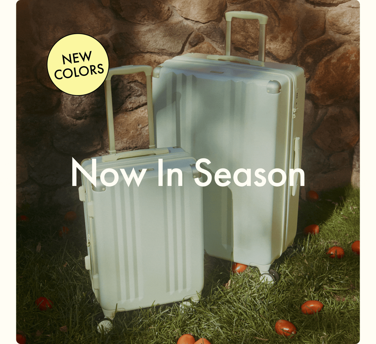 NEW COLORS | Now In Season