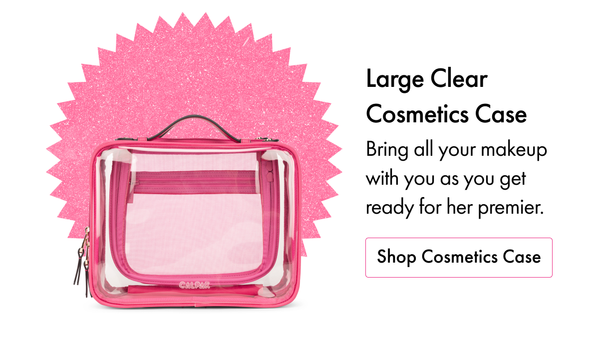 Large Clear Cosmetics Case