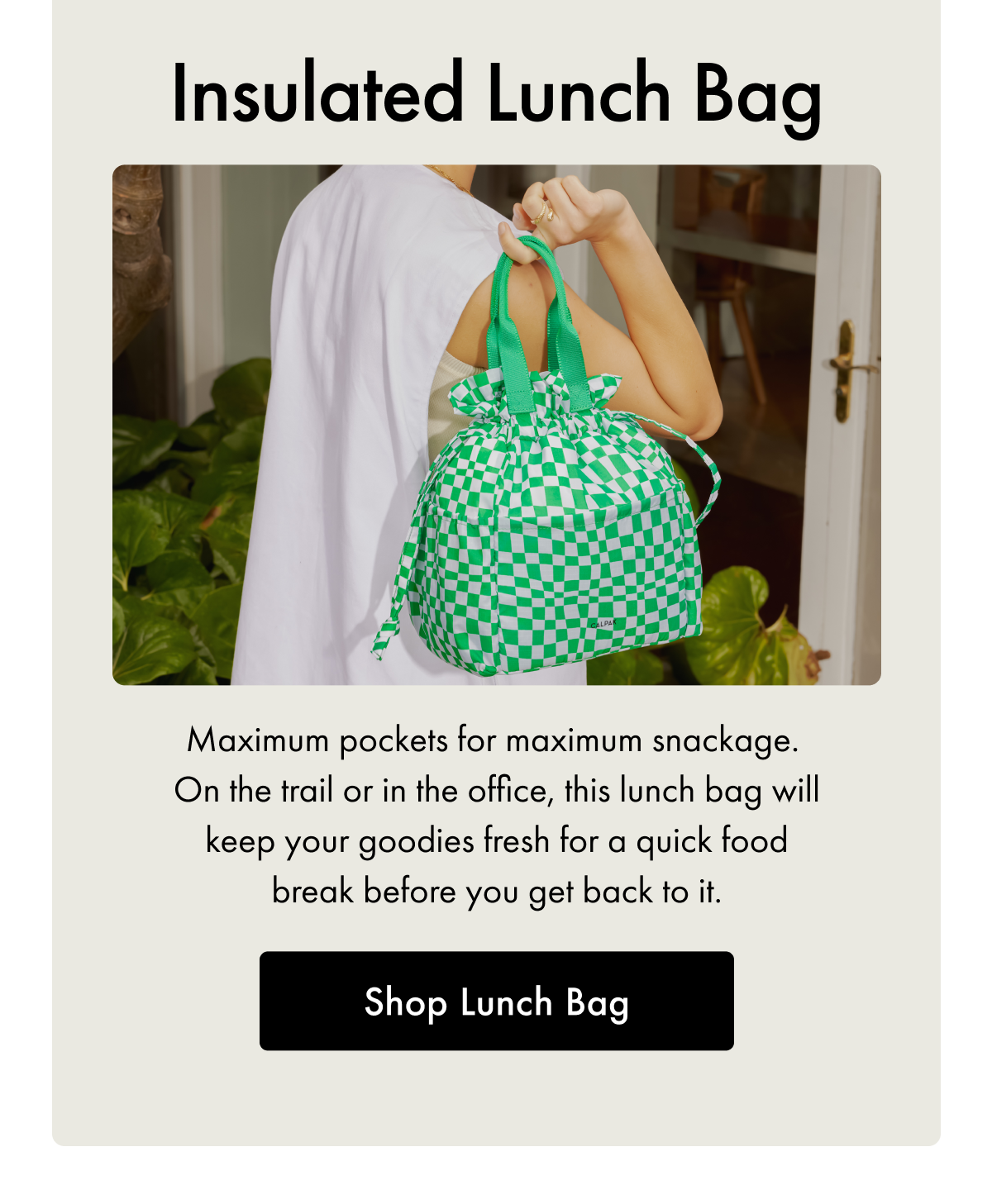 Insulated Lunch Bag