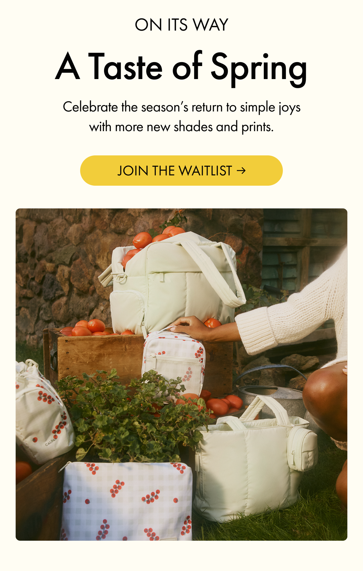 ON ITS WAY | A Taste of Spring | Celebrate the season's return to simple joys with more new shades and prints. | JOIN THE WAITLIST