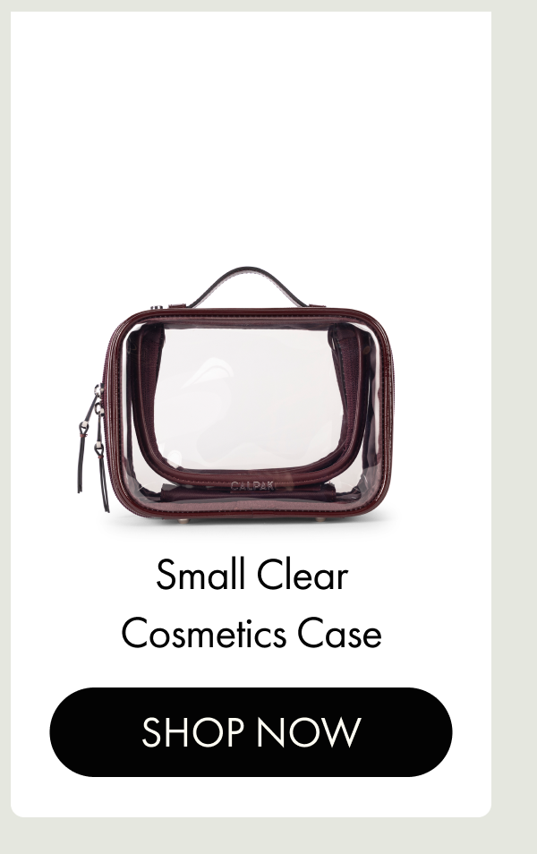 Small Clear Cosmetics Case | SHOP NOW