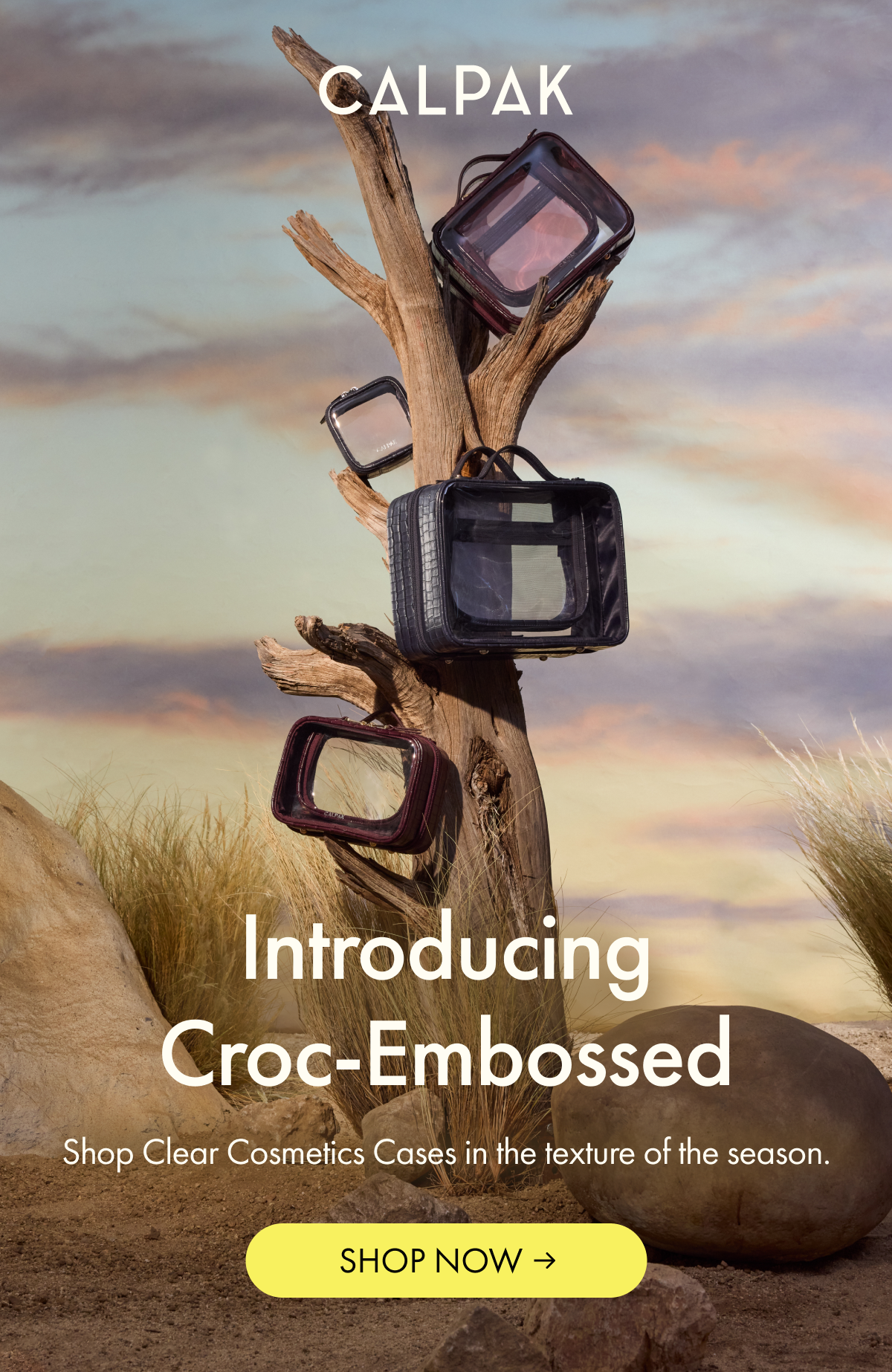 CALPAK | Introducing Croc-Embossed | Shop Clear Cosmetics Cases in the texture of the season.
